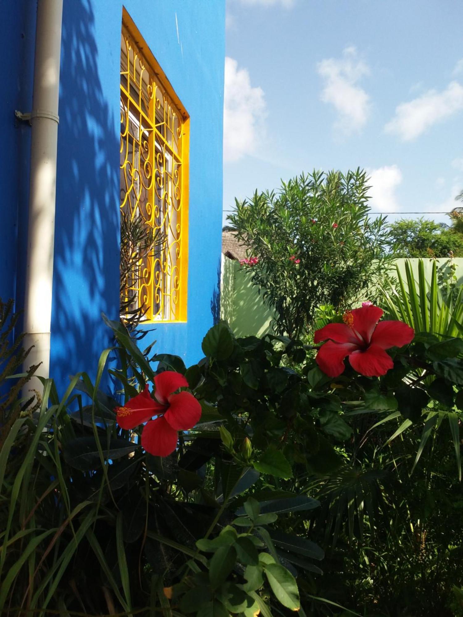 La Locanda Lodge - Apartment, 4 Double Rooms & Kitchen Near The Beach Джамбиани Екстериор снимка